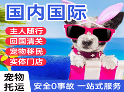 三家子空运公司国际宠物托运 【国